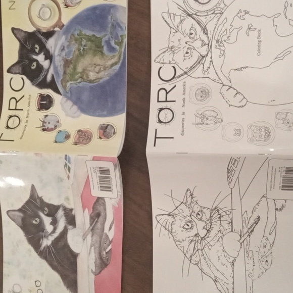 NWOT Imagination & Adventure: Torc Discoveries In North America + Coloring Book - Picture 4 of 4